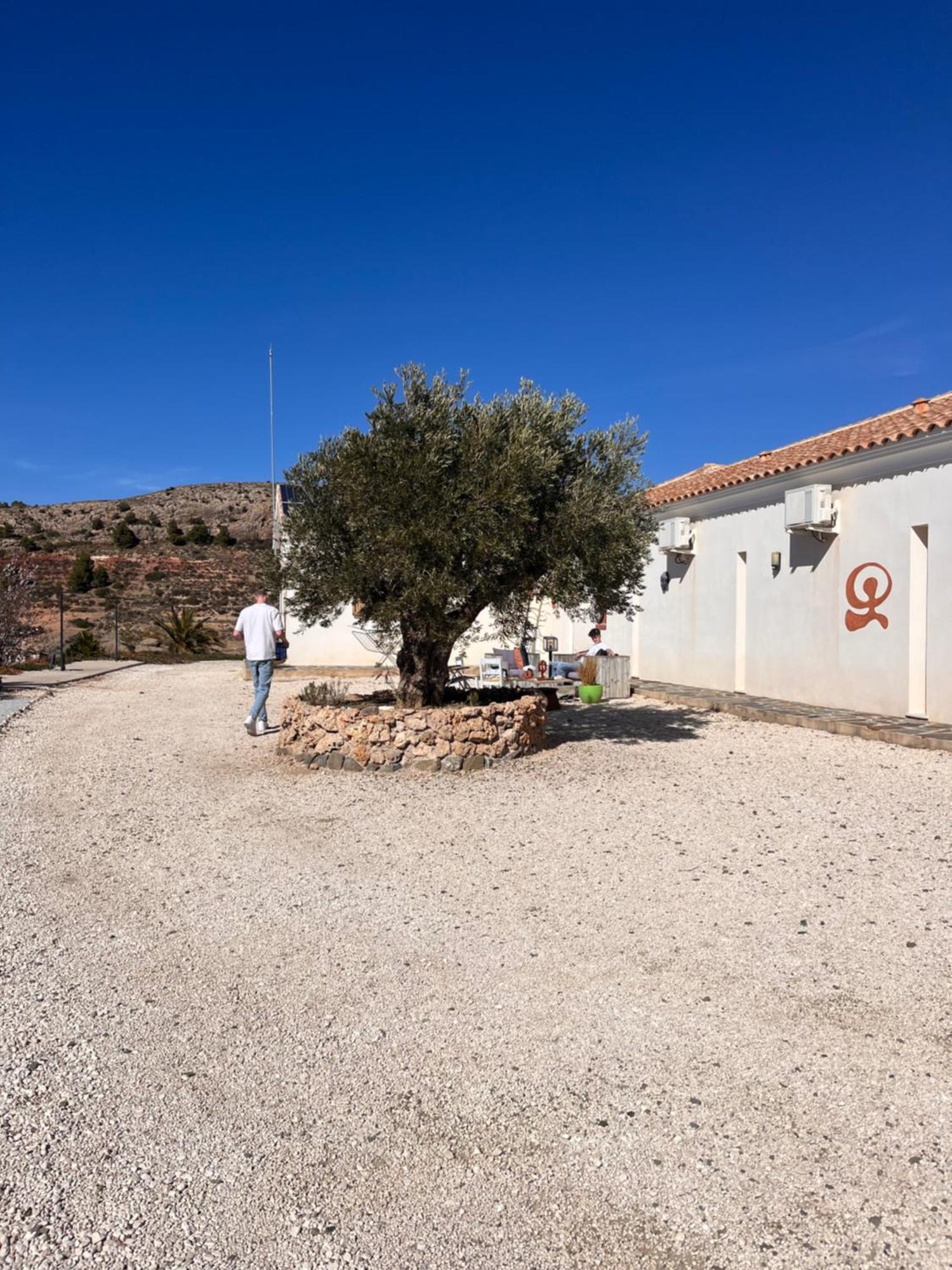Bed and Breakfast Casa Lamberdina Fuensanta  Exterior foto